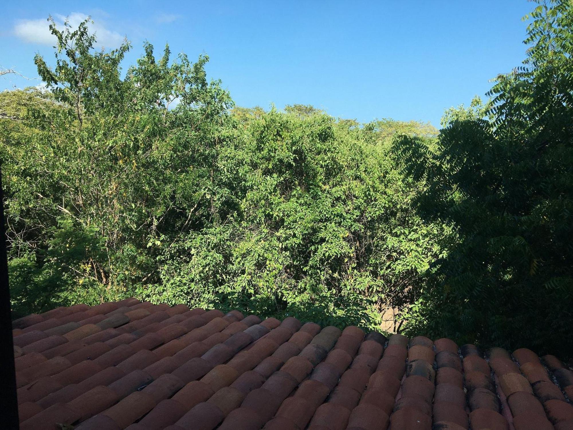 Centro Sati Bungalow Cuatunalco Exteriör bild